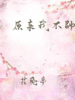 原来我不帅小说