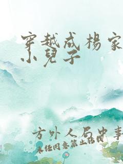 穿越成杨家将最小儿子