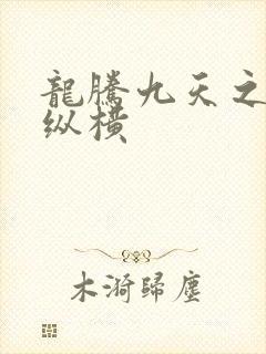 龙腾九天之异世纵横