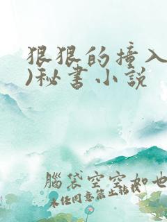 狠狠的撞入(h)秘书小说