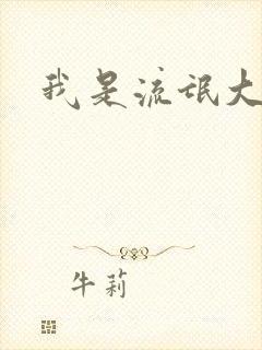 我是流氓大律师