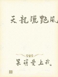 天龙猎艳风流