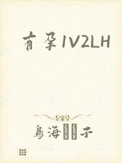 有孕1V2LH