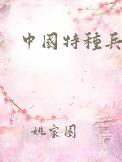 中国特种兵小说