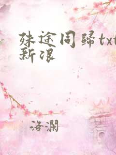 殊途同归txt新浪