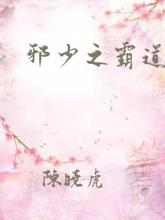 邪少之霸道娇妻