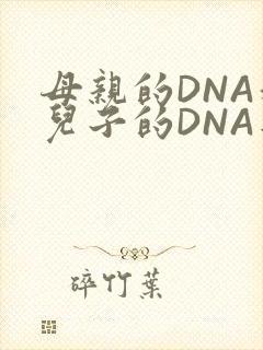 母亲的DNA和儿子的DNA是一样的吗
