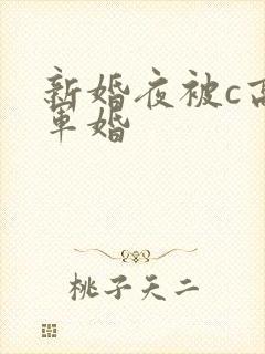 新婚夜被c高h军婚