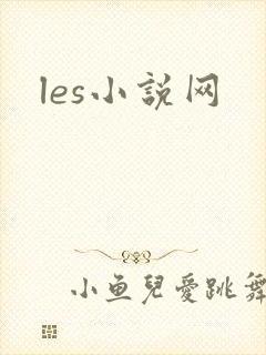 les小说网