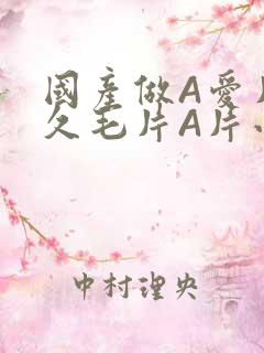 国产做A爱片久久毛片A片小说