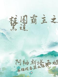 校园霸主之统一黑道