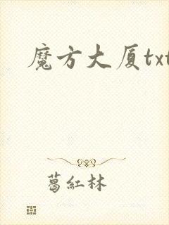 魔方大厦txt