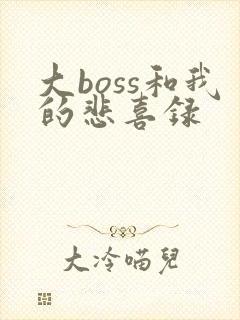 大boss和我的悲喜录