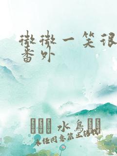 微微一笑很倾城番外