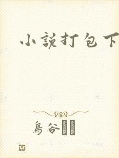 小说打包下载