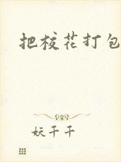 把校花打包带走