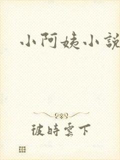 小阿姨小说