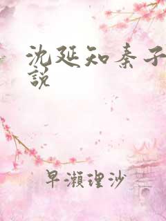 沈延知秦子卿小说