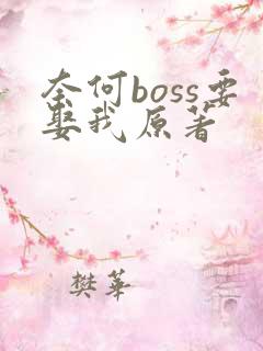 奈何boss要娶我原著
