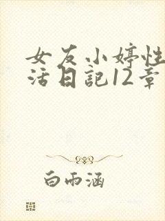 女友小婷性荡生活日记12章