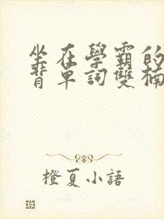 坐在学霸的棍子背单词双楠