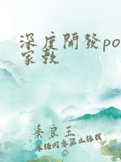 深度开发pop家教