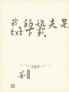 我的姐夫是太子txt下载