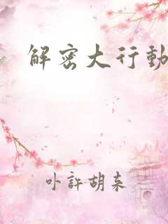 解密大行动