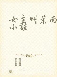 女主叫叶南初的小说