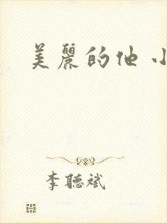 美丽的他 小说