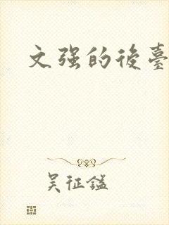 文强的后台是谁