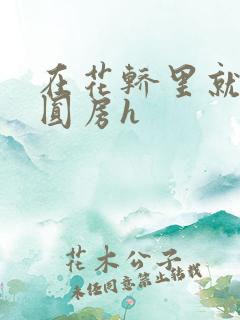 在花轿里就开始圆房h