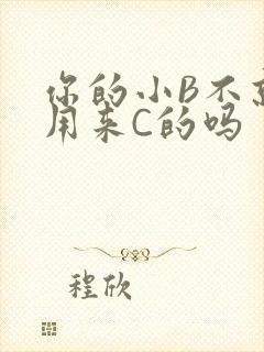 你的小B不就是用来C的吗