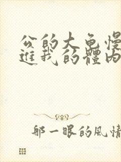 公的大龟慢慢挺进我的体内