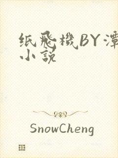 纸飞机BY潭石小说