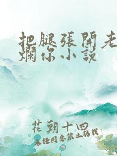 把腿张开老子臊烂你小说