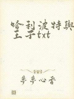 哈利波特与混血王子txt