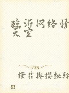 临沂网络情缘聊天室