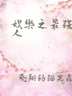 娱乐之最强经纪人