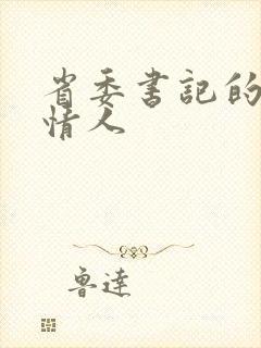 省委书记的秘密情人