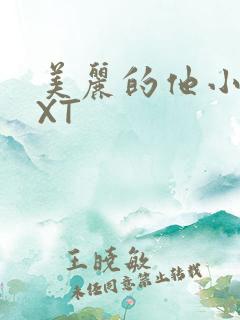 美丽的他小说TXT