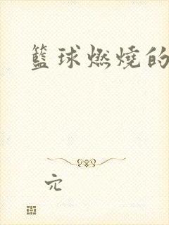 篮球燃烧的岁月