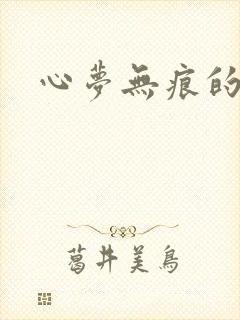 心梦无痕的小说