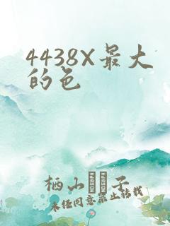 4438X最大的色
