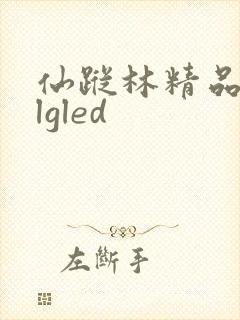 仙踪林精品zzlgled