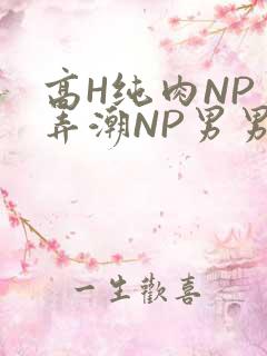 高H纯肉NP 弄潮NP男男