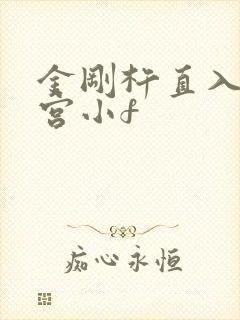 金刚杵直入莲花宫小f