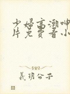 少妇高潮呻吟A片免费看小说