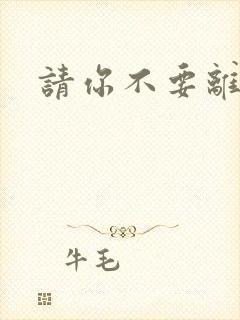 请你不要离开我