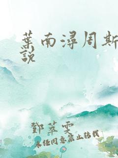 叶南浔周斯年小说